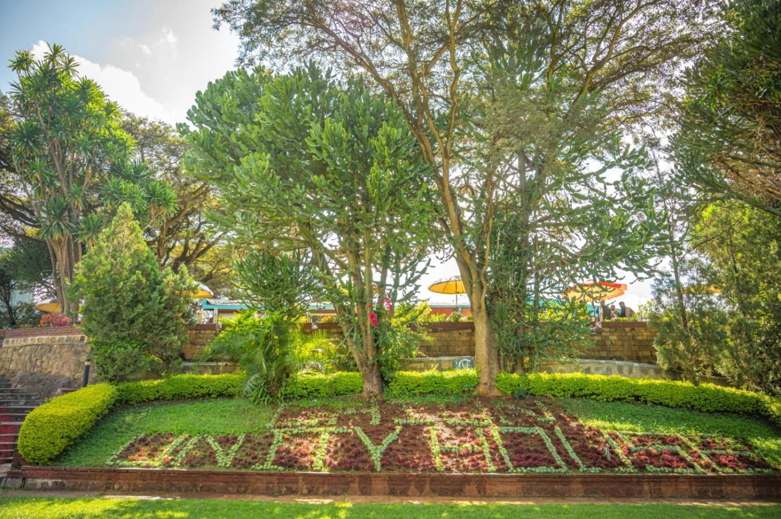Ghion Hotel Addis Ababa Ngoại thất bức ảnh