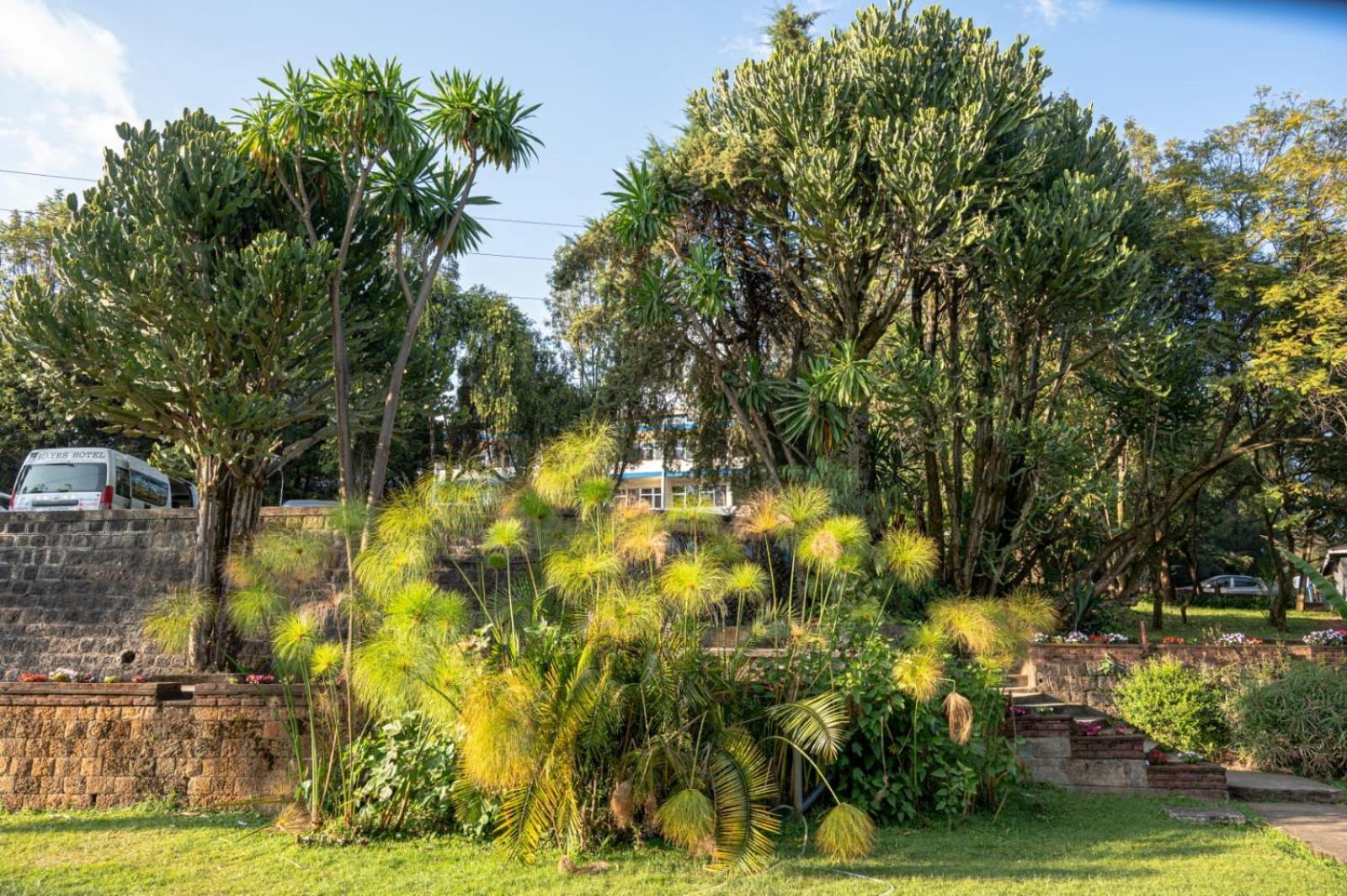 Ghion Hotel Addis Ababa Ngoại thất bức ảnh