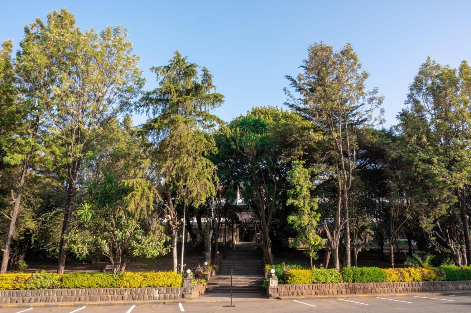 Ghion Hotel Addis Ababa Ngoại thất bức ảnh